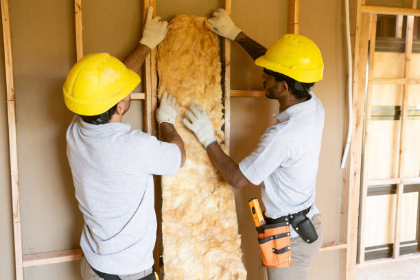 Best Insulation Installation Cost  in USA